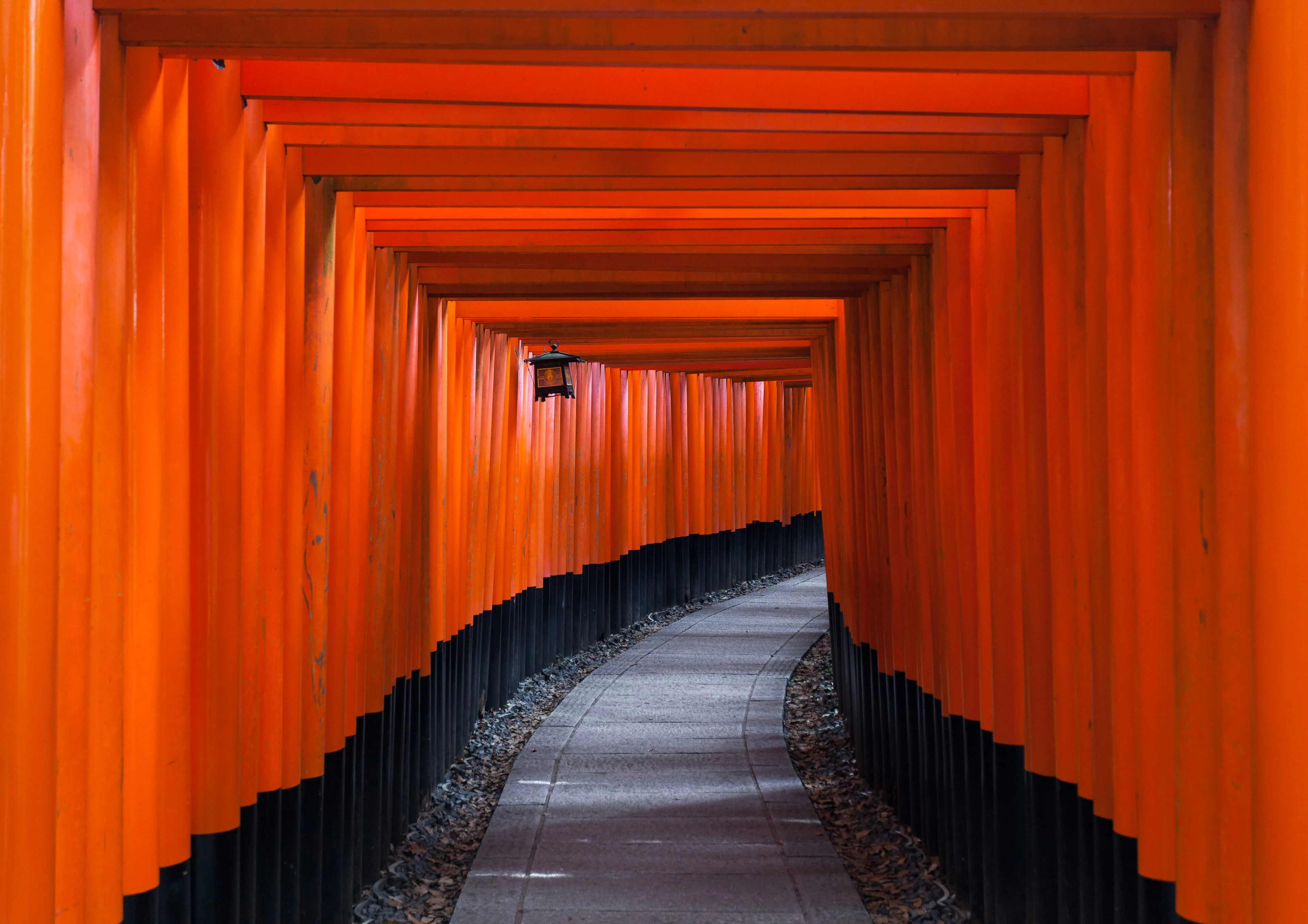 A vermilion torii corridor in Kyoto, early light between the gates
